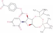 3',5'-O-(1,1,3,3-Tetraisopropyl-1,3-disiloxanediyl)-2'-(p-nitrophenylcarbonyloxy)uridine