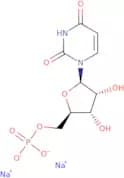 Uridine 5'-monophosphate disodium