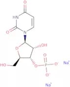 Uridine 3'-monophosphate disodium salt