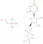 Uridine 5'-diphosphate choline ammonium