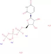 Uridine 5'-triphosphate dihydrate trisodium salt