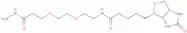 5-[(3aS,4S,6aR)-2-Oxo-hexahydro-1H-thieno[3,4-d]imidazol-4-yl]-N-(2-{2-[2-(hydrazinecarbonyl)ethox…
