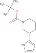 tert-Butyl 3-(1H-pyrazol-3-yl)piperidine-1-carboxylate