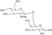 6-O-(2-Acetamido-2-deoxy-β-D-glucopyranosyl)-D-galactopyranose