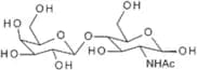 N-Acetyl-D-lactosamine