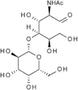 N-Acetyl-D-lactosamine - 200mM solution in water