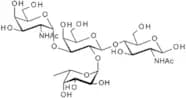 Blood Group A tetrasaccharide type II