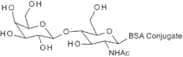 N-Acetyl-D-lactosamine-BSA (14 atom spacer)