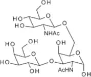 2-Acetamido-6-O-(2-acetamido-2-deoxy-b-D-glucopyranosyl)-3-O-(b-D-galactopyranosyl)-2-deoxy-a-D-ga…