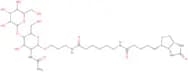 N-Acetyl-D-lactosamine-sp-biotin