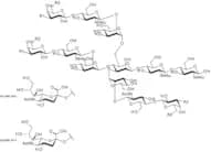 A3 Glycan, 2-AB labelled