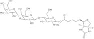 Biotinylated Linear B trisaccharide