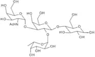 Blood Group A tetrasaccharide type V