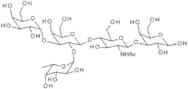 Blood Group B pentasaccharide type II