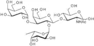 Blood Group B type I tetrasaccharide