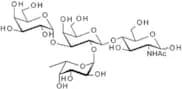 Blood Group B type II tetrasaccharide