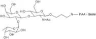 Blood Group H type I trisaccharide-PAA-biotin