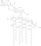 Di[3-deoxy-D-manno-octulosonyl]-lipid A sodium salt - 0.5mg/ml aqueous solution