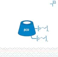 2,3-Di-O-allyl-b-cyclodextrin