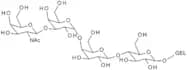 Globo-N-tetraose GEL