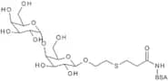 4-O-(a-D-Galactopyranosyl)-b-D-galactopyranosyl-CETE-BSA Conjugate