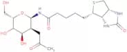 N-GlcNAc-Biotin