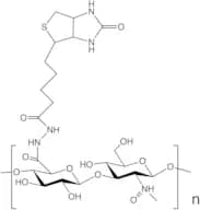 Hyaluronate biotin - Molecular Weight - 10kDa