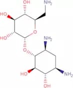 Kanamycin A Related Compound 1