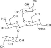 Lewis B tetrasaccharide
