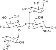 Lewis Y tetrasaccharide