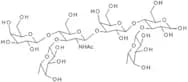 Lacto-N-neodifucohexaose