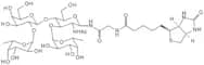 Lewis Y-NHCOCH2NH-biotin