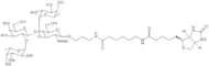 Lewis Y tetrasaccharide-sp-biotin