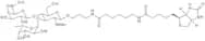 Lewis X trisaccharide-sp-biotin