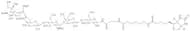 LS-tetrasaccharide C -sp-biotin