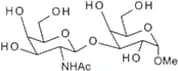 Methyl 3-O-(2-acetamido-2-deoxy-b-D-galactopyranosyl)-a-D-galactopyranoside