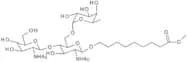 8-Methoxycarbonyloctyl-6-O-(a-L-fucopyranosyl)-N,N'-diacetyl-chitobioside