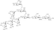 Man-7D1 N-Glycan