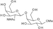 Methyl 4-O-(2-acetamido-2-deoxy-β-D-galactopyranosyl)-β-D-galactopyranoside