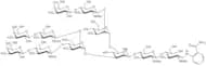 NA3 Glycan, 2-AB labelled