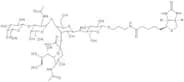 GM1-Pentasaccharide labelled by biotin