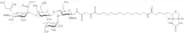 3'-Sialyl Lewis X 16-sp - biotin