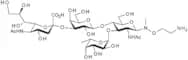 3'-Sialyl Lewis X 1-N-methyl-N-hydroxyethylamine