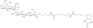 6'-Sialyllactose-sp-biotin