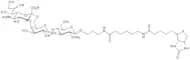 6'-α-Sialyl-N-acetyllactosamine-sp-biotin