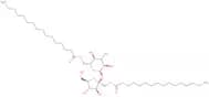 Sucrose dipalmitate