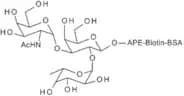 Blood group A trisaccharide-APE-[biotin]-BSA