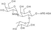 Blood group A trisaccharide-APE-HSA