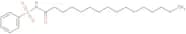 N-(Phenylsulfonyl)palmitamide