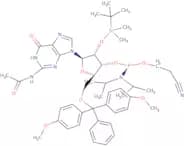 N2-Acetyl-2'-O-tert-butyldimethylsilyl-5'-O-DMT-guanosine 3'-CE phosphoramidite